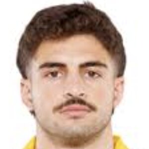 Davit Niniashvili